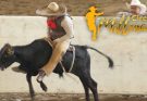 Gallos de Tuxtla, Circuito Millonario AA