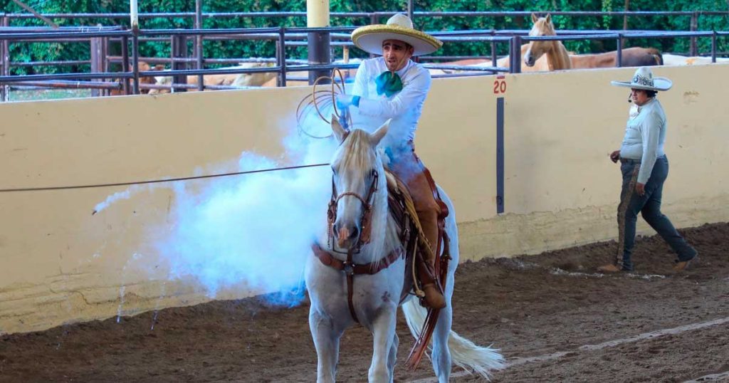RG2, Campeonato Millonario 2024