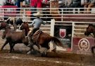 Casa Bajío, Estatal Charro Zacatecas 2025