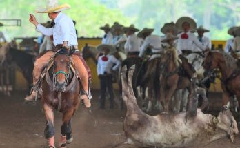 Circuito Don Walter Herrera Ramírez, fase 2, Teapa, Tabasco