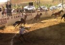 Hacienda Santa Teresa el mejor del día cinco