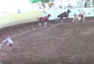 La Chiapaneca se mete a la final del Pícaro Mayor