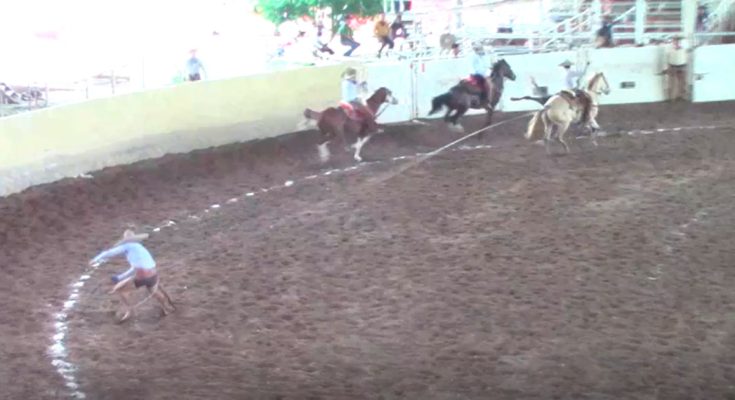 La Chiapaneca, Torneo Pícaro Mayor 2025, charrería
