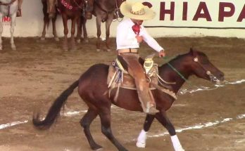 Pícaros de Tuxtla, Estatal 2025, Villaflores
