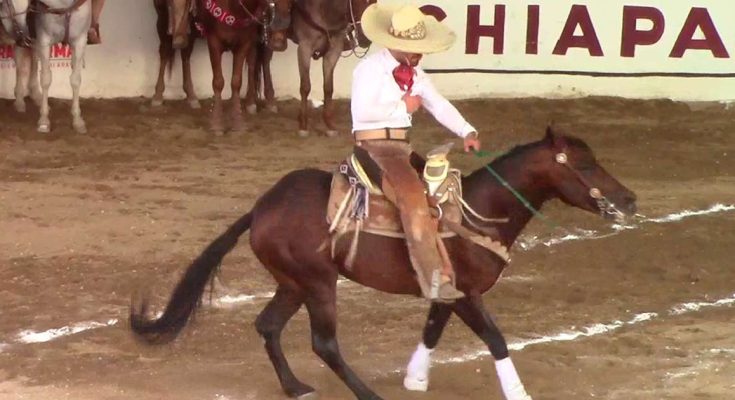 Pícaros de Tuxtla, Estatal 2025, Villaflores