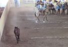 La Chiapaneca, Torneo de la Amistad Chiapas 2025 Salvador Barajas del Toro