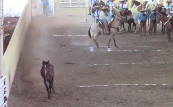 La Chiapaneca, Torneo de la Amistad Chiapas 2025 Salvador Barajas del Toro