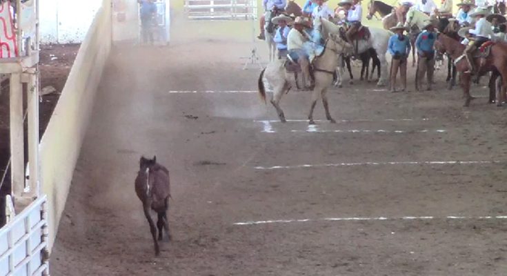 La Chiapaneca, Torneo de la Amistad Chiapas 2025 Salvador Barajas del Toro