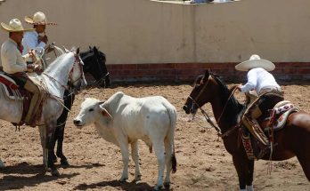 Las Margaritas, Chiapas, Torneo Charro 2025