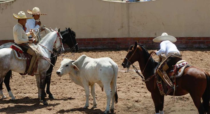 Las Margaritas, Chiapas, Torneo Charro 2025