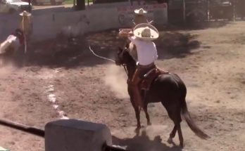 Charos de Teapa, Circuito Don Walter Herrera Ramírez, lienzo El Teapaneco, Teapa, Tabasco