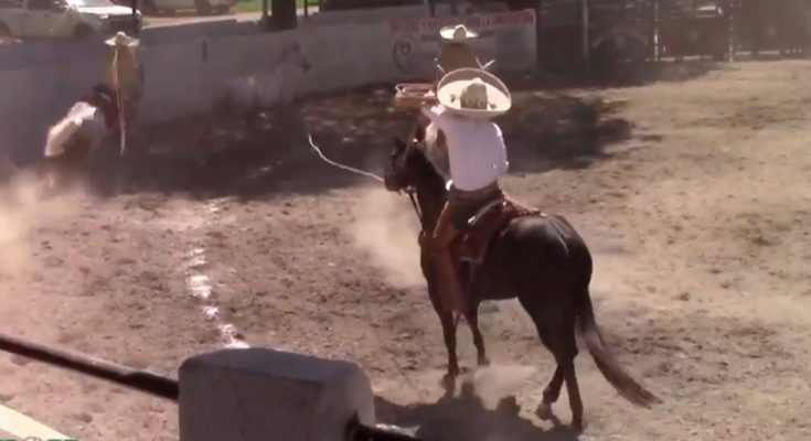 Charos de Teapa, Circuito Don Walter Herrera Ramírez, lienzo El Teapaneco, Teapa, Tabasco