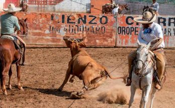 Charros de Yajalón, Circuito Charro Ruta del Café