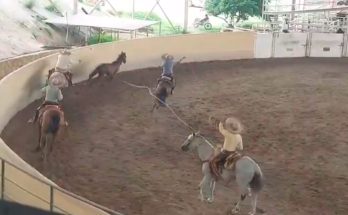 Charros de la Capital, Circuito Millonario AA, Charrería, Tuxtla, Chiapas