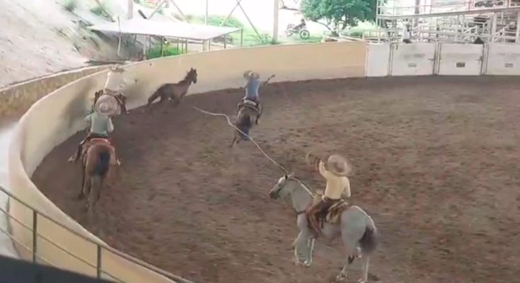 Charros de la Capital, Circuito Millonario AA, Charrería, Tuxtla, Chiapas
