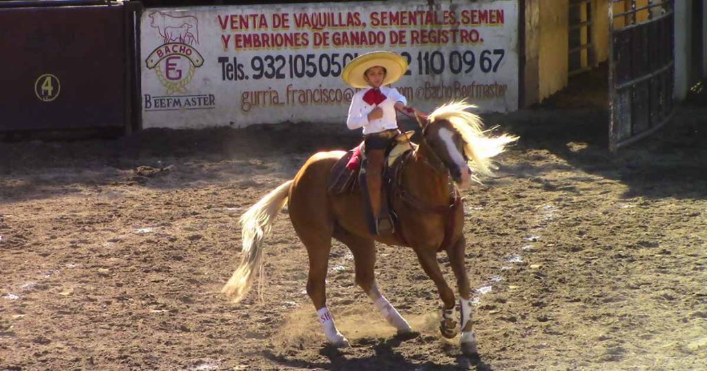 Circuito Don Walter Herrera Ramírez, lienzo El Teapaneco, Teapa, Tabasco, Rancho Don Walter,