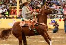 Campeonato Millonario 2025: Campeones y finalistas, caladeros