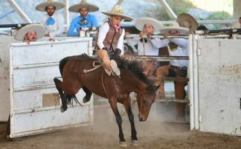 Campeonato Regional Zona Sur entrega 2 pases al Nacional 2025
