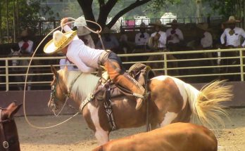 Circuito Don Walter Herrera Ramírez, Huimanguillo, Tabasco