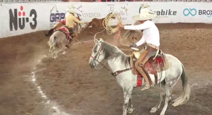 Manuel Arellano, Tamaulipecos, Liga Profesional de Charrería Ron Potosí