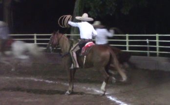 Rancho El Refugio, José Luis Gurrola, Circuito Don Walter Herrera Ramírez