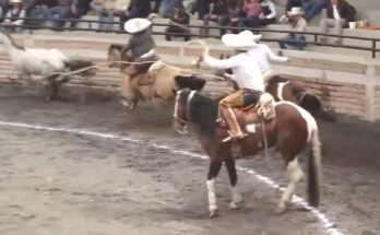 El Soyate, Torneo Ganaderos de los Altos & El Mesón de Los Frailes, Charrería