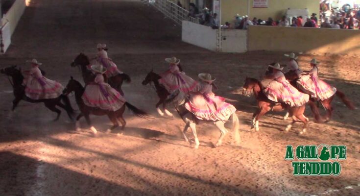 Flor Imperial, Campeonato Estatal de Escaramuzas 2026