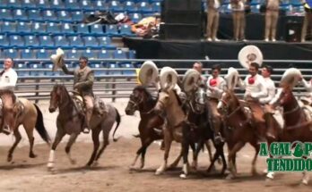 El Soyate, campeón, campeonato rancho el diamante