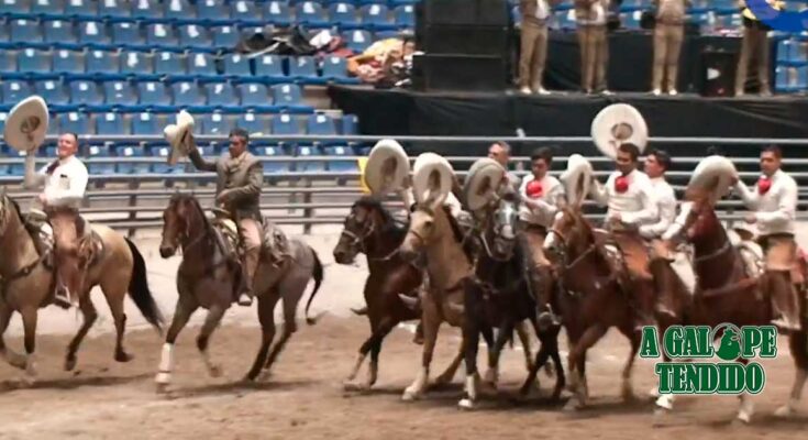 El Soyate, campeón, campeonato rancho el diamante