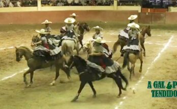 La Guadalupana, Campeonas Estatales 2026, Tabasco