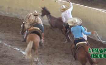 Circuito Coyotes de Charrería, Fase dos