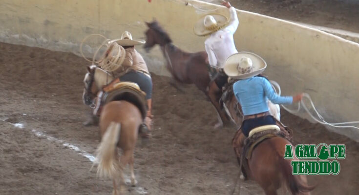 Circuito Coyotes de Charrería, Fase dos