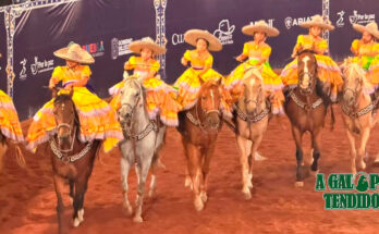 Comitán, Chiqui Amazonas de Montebello, Chiapas, Nacionalito 2026
