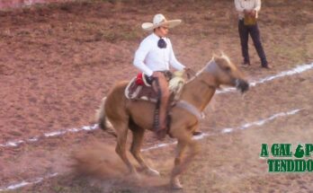 Las Margaritas, charreada 2026