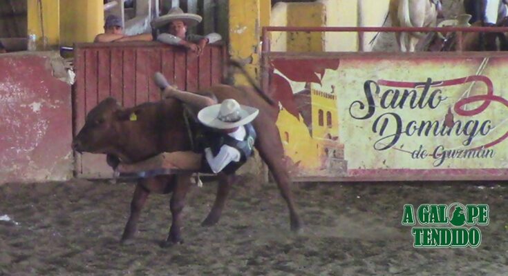 Torneo Santo Domingo de Guzmán, Comitán, Chiapas, Charrería