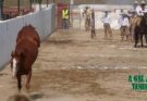 Charreada de Gala, reconocimiento a grandes equipos