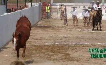 Charreada de Gala, Pialadero, Coleadero, lienzo Herón Ramos Camacho