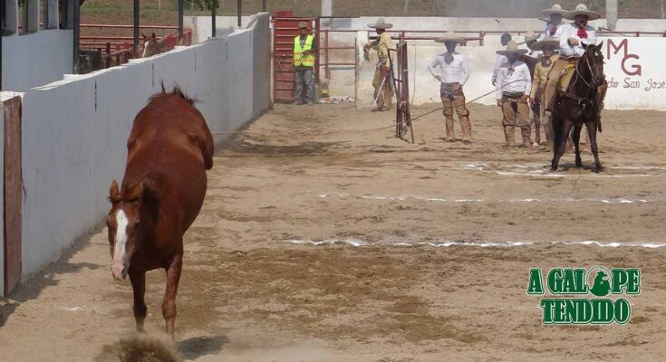 Charreada de Gala, Pialadero, Coleadero, lienzo Herón Ramos Camacho