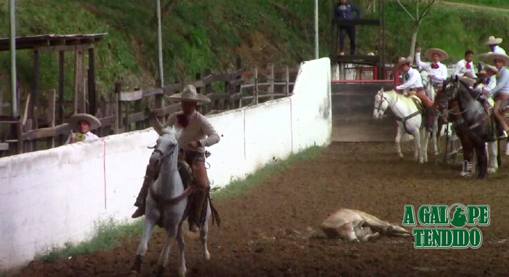 Chiapas Muy Charro, Ocosingo