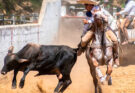Coleadero Estatal con jugosos premios y show de Diego Herrera