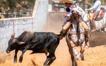 Coleadero Estatal 2026, Ocosingo
