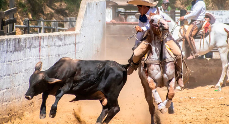 Coleadero Estatal 2026, Ocosingo