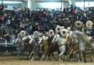 Tamaulipecos impone nuevo récord en el Nacional 2026
